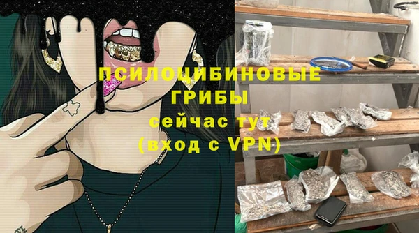 марки nbome Дмитриев