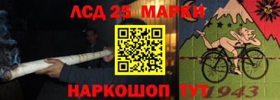 гашик Донской
