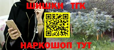 гашик Донской