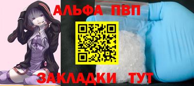 гашик Донской