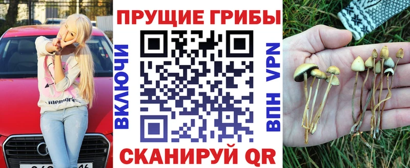 где купить наркоту Дивногорск Галлюциногенные грибы ЛСД