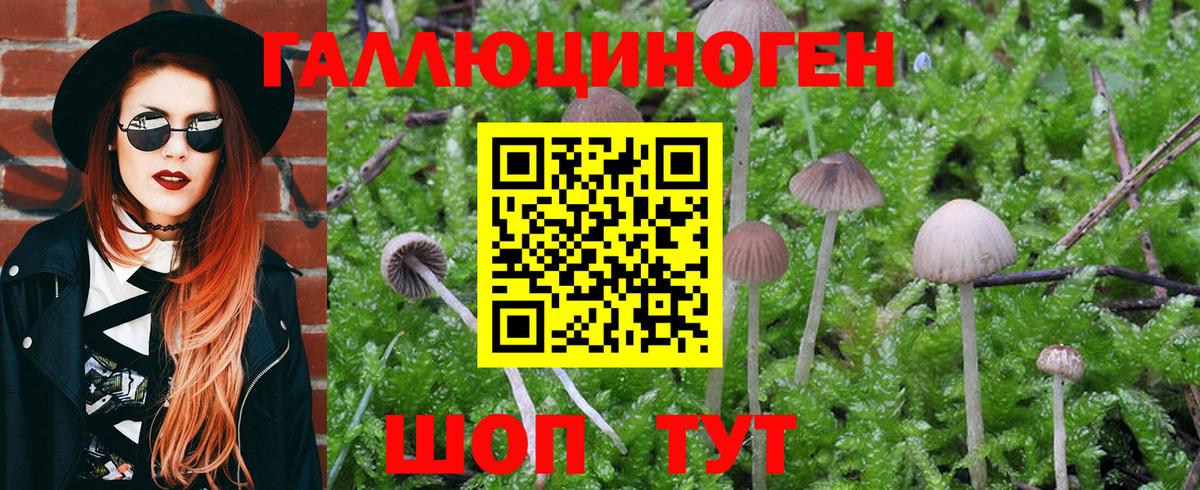 Галлюциногенные грибы Magic Shrooms Дивногорск