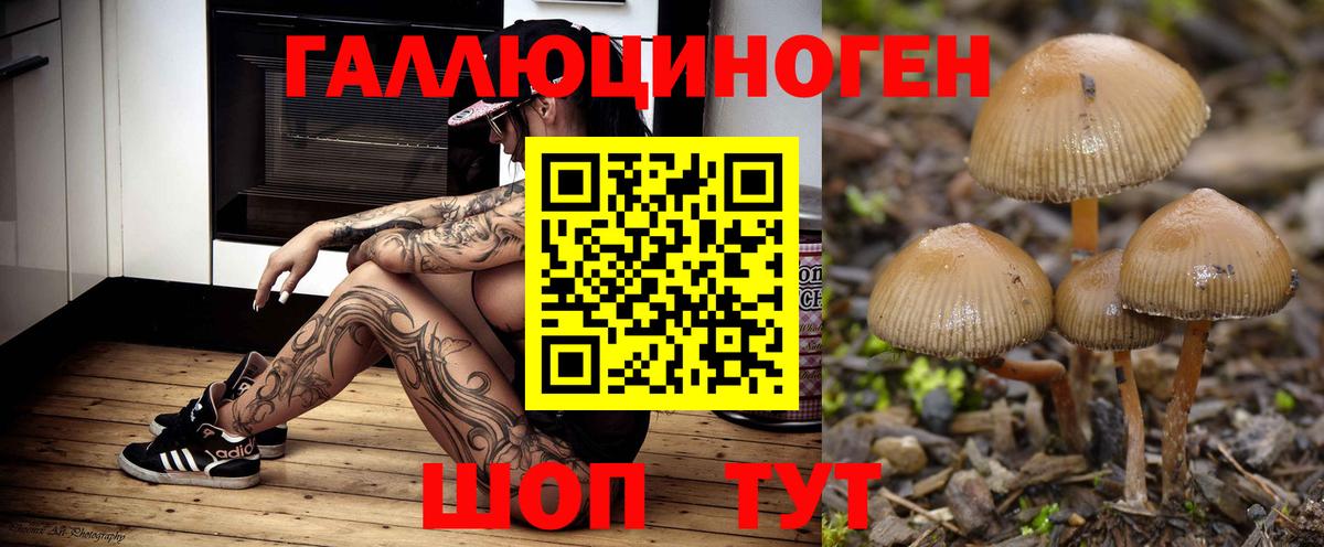 Дивногорск  Псилоцибиновые грибы GOLDEN TEACHER  Вход с VPN 