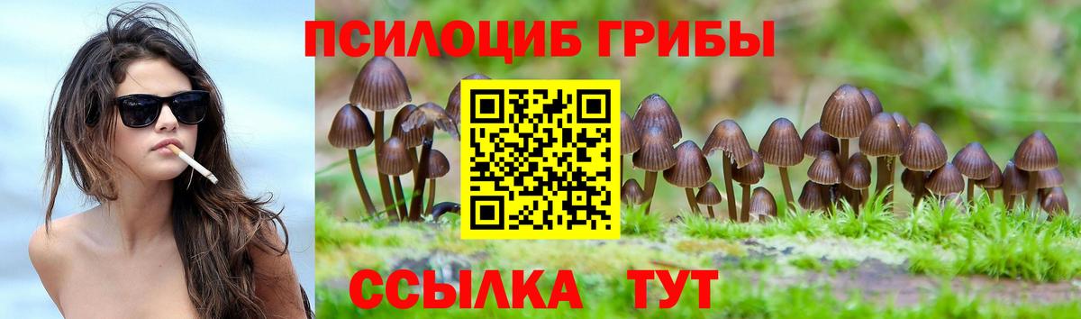Галлюциногенные грибы MAGIC MUSHROOMS Дивногорск